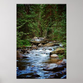 Peaceful Mountain Stream print (Voorkant)
