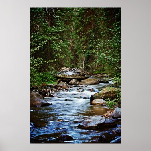 Peaceful Mountain Stream print (Voorkant)