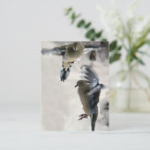 Peaceful Mourning Doves in Mid Flight Briefkaart (Staand voorkant)