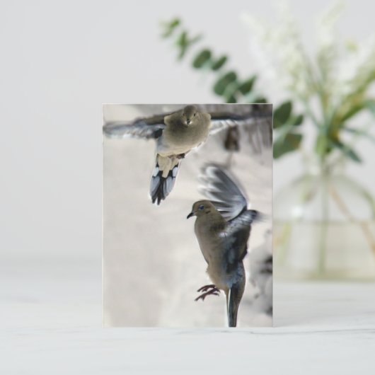 Peaceful Mourning Doves in Mid Flight Briefkaart (Staand voorkant)