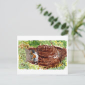 Peaceful owl met green background briefkaart (Staand voorkant)