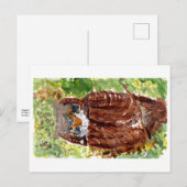 Peaceful owl met green background briefkaart (Voorkant / Achterkant)