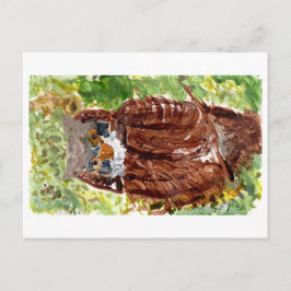 Peaceful owl met green background briefkaart