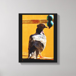 Peaceful Pigeon Canvas Afdruk