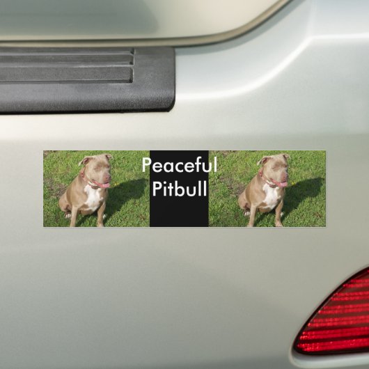 Peaceful Pitbull Bumpersticker (Op auto)