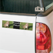 Peaceful Pitbull Bumpersticker (Op Truck)