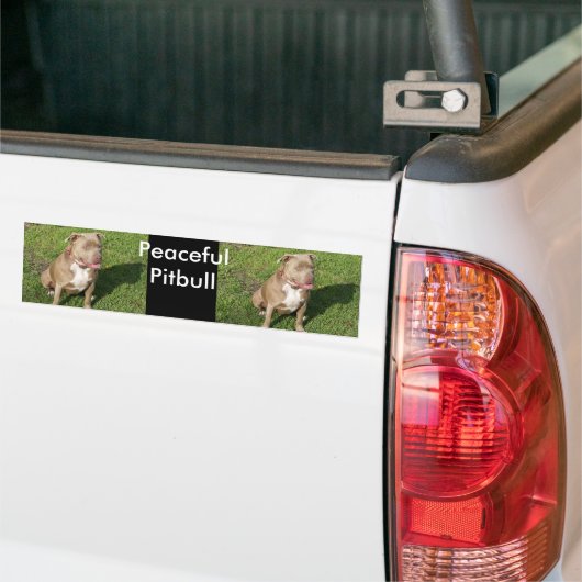 Peaceful Pitbull Bumpersticker (Op Truck)