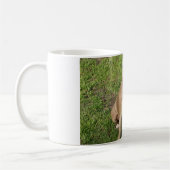 Peaceful Pitbull Koffiemok (Links)