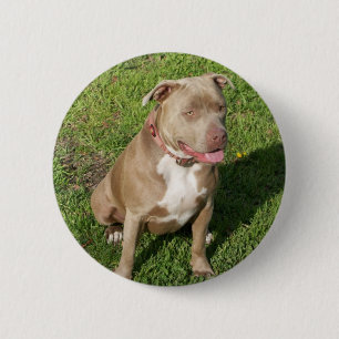 Peaceful Pitbull Ronde Button 5,7 Cm