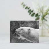 Peaceful Polar Beer Briefkaart (Staand voorkant)