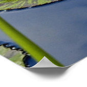 Peaceful Pond Poster (Hoek)