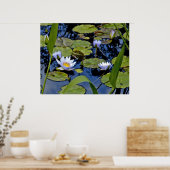 Peaceful Pond Poster (Keuken)