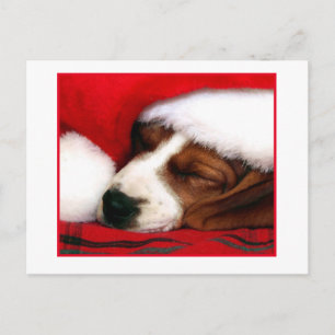 Peaceful Puppy Feestdagenkaart