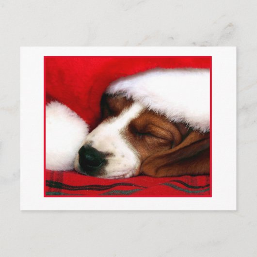 Peaceful Puppy Feestdagenkaart (Voorkant)