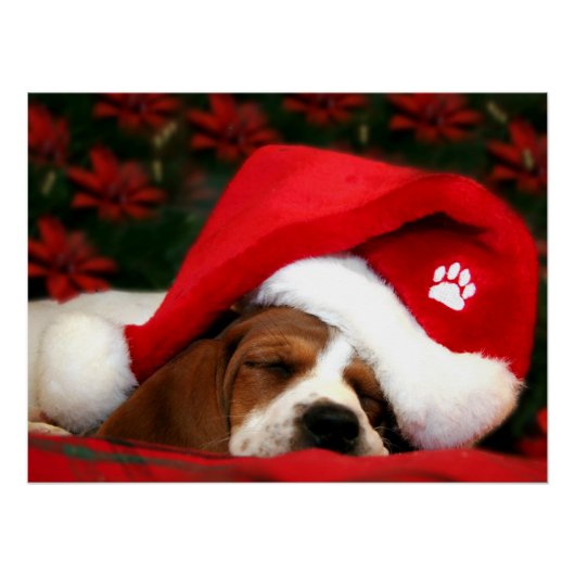 Peaceful Puppy Perfect Poster (Voorkant)