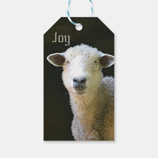 Peaceful Sheep Cadeaulabel (Achterkant)