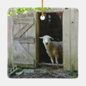 Peaceful Sheep Keramisch Ornament (Achterkant)