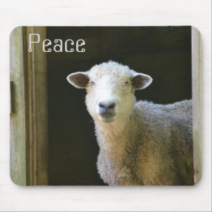 Peaceful Sheep Muismat