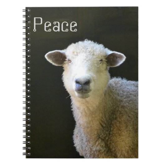 Peaceful Sheep Notitieboek (Voorkant)