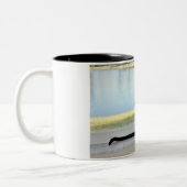 Peaceful Siamese Cat Painting Tweekleurige Koffiemok (Links)