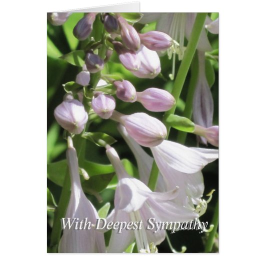 Peaceful Sjabloon Group condoleert sympathie kaart (Voorkant)