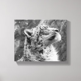 Peaceful Snow Leopard Canvas Afdruk