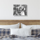 Peaceful Snow Leopard Canvas Afdruk (Insitu (Slaapkamer))