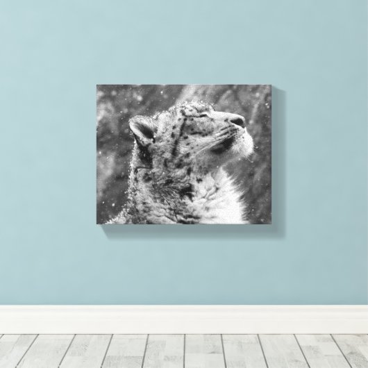 Peaceful Snow Leopard Canvas Afdruk (Insitu (Houten vloer))