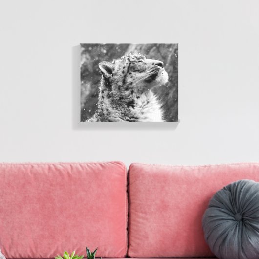 Peaceful Snow Leopard Canvas Afdruk (Insitu (Woonkamer))