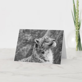 Peaceful Snow Leopard Feestdagen Kaart