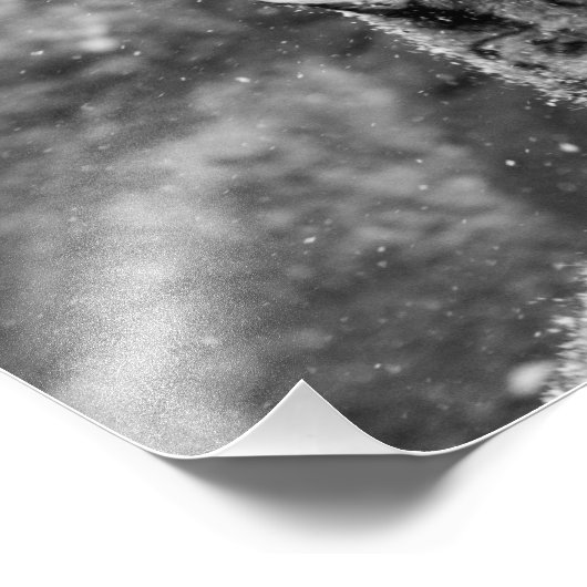 Peaceful Snow Leopard Foto Afdruk (Hoek)