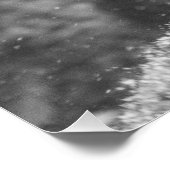 Peaceful Snow Leopard Poster (Hoek)