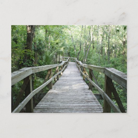 Peaceful Stroll Briefkaart (Voorkant)