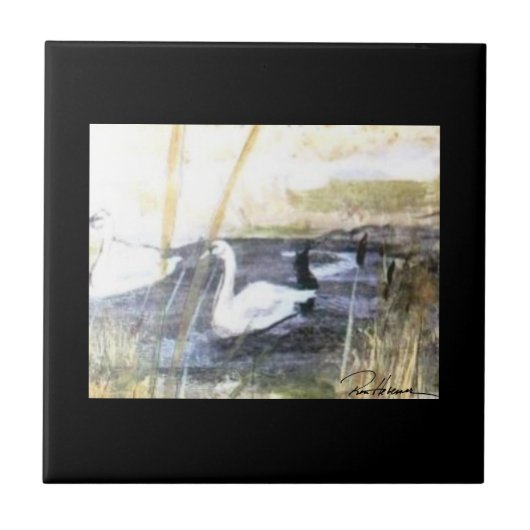 Peaceful Swan . . . Tegeltje (Voorkant)