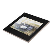 Peaceful Swan . . . Tegeltje (Zijkant)