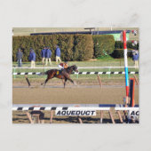 Peaceful Talk Wins on New Year's Day Feestdagenkaart (Voorkant)