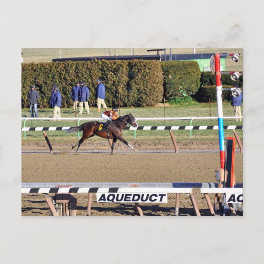 Peaceful Talk Wins on New Year's Day Feestdagenkaart (Voorkant)