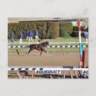 Peaceful Talk wint op Nieuwjaarsdag Feestdagenkaart