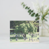 Peaceful Tree Briefkaart (Staand voorkant)