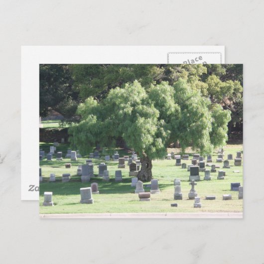 Peaceful Tree Briefkaart (Voorkant / Achterkant)