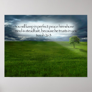 Peaceful Tree Field Blue Sky Bijbel Verse Poster