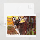 Peaceful Valley donkey briefkaart (Voorkant / Achterkant)