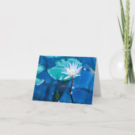 Peaceful Water Lily Notecard Notitiekaartje