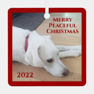 Peaceful White Dog Red Collar Kerstmis Metalen Ornament