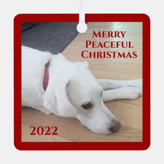 Peaceful White Dog Red Collar Kerstmis Metalen Ornament (Voorkant)