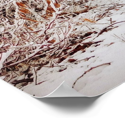 Peaceful Winter Path Poster (Hoek)