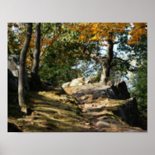 Peaceful Woodland Path Natuur Orton Effect Poster