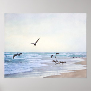 Peaceful Zee Birds at Shore Waterverf Style Print