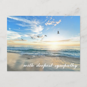 Peaceful Zee Shore Scene with Birds Sympathy Briefkaart