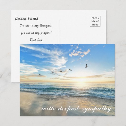 Peaceful Zee Shore Scene with Birds Sympathy Briefkaart (Voorkant / Achterkant)